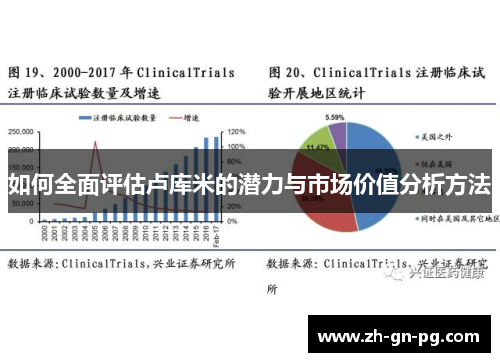 如何全面评估卢库米的潜力与市场价值分析方法