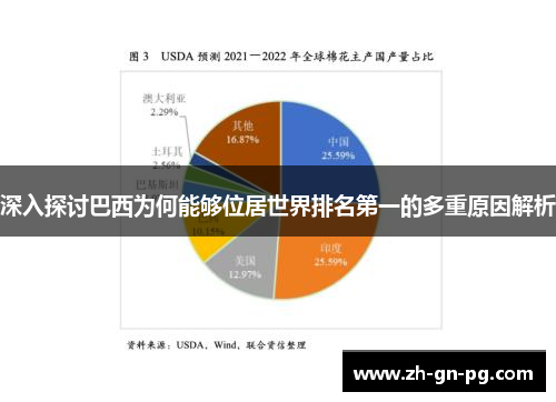 深入探讨巴西为何能够位居世界排名第一的多重原因解析