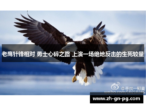 老鹰针锋相对 勇士心碎之路 上演一场绝地反击的生死较量 老鹰针锋相对 勇士心碎之路 上演一场绝地反击的生死较量