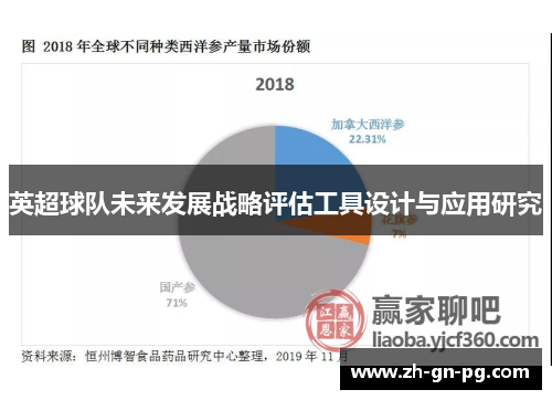 英超球队未来发展战略评估工具设计与应用研究